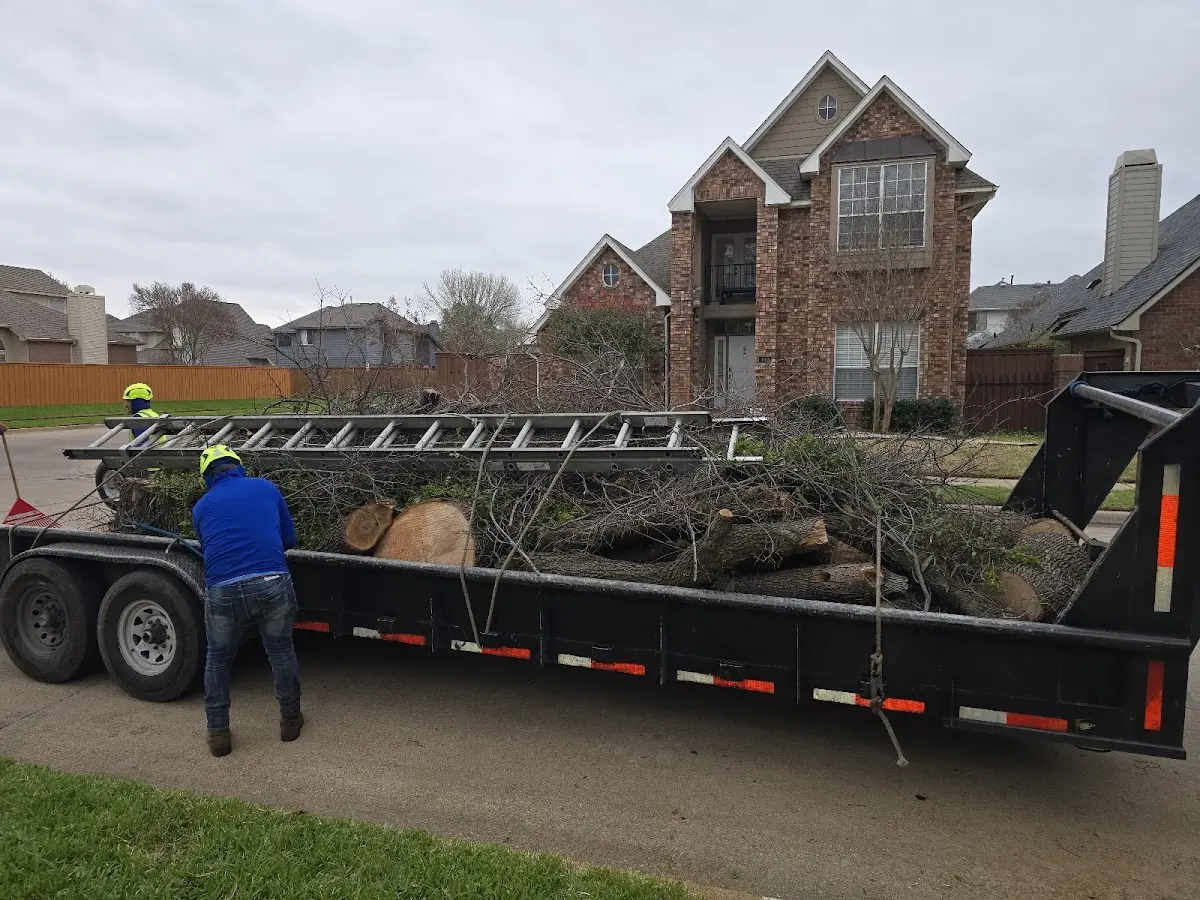 Expert Lot Clearing with proper safety equipment in Ismay